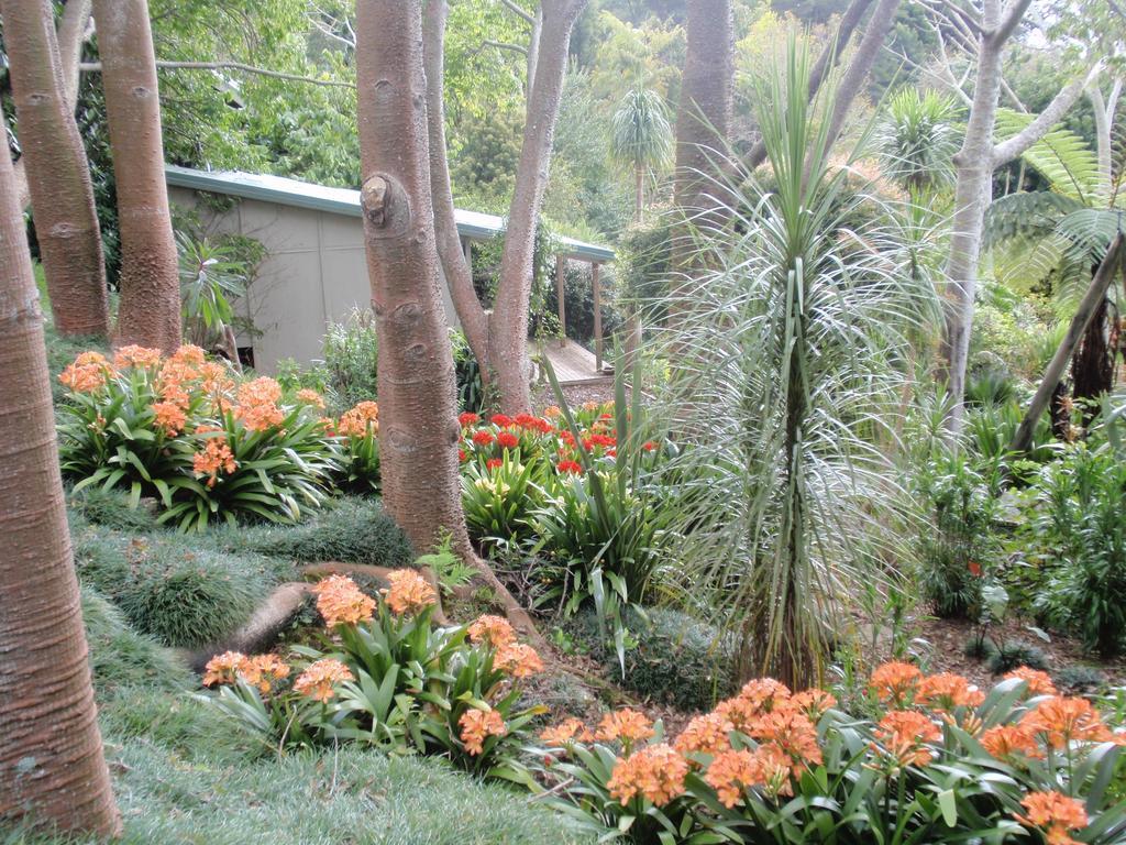 Wharepuke Subtropical Accommodation كيريكيري المظهر الخارجي الصورة