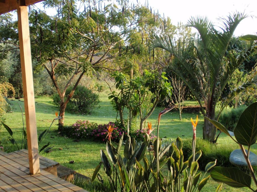 Wharepuke Subtropical Accommodation كيريكيري الغرفة الصورة