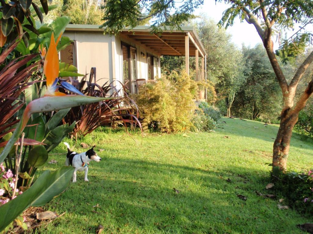 Wharepuke Subtropical Accommodation كيريكيري الغرفة الصورة