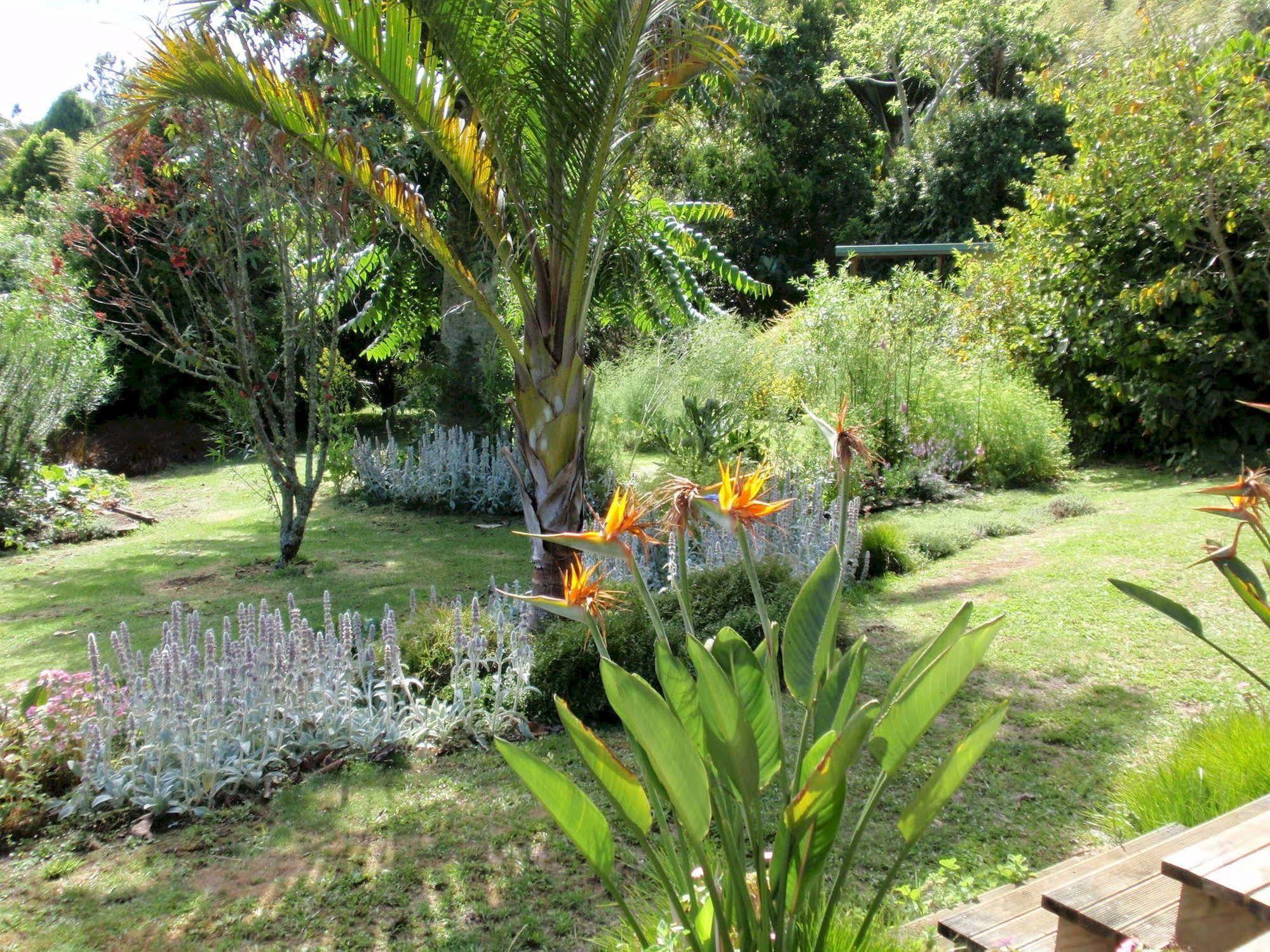 Wharepuke Subtropical Accommodation كيريكيري المظهر الخارجي الصورة