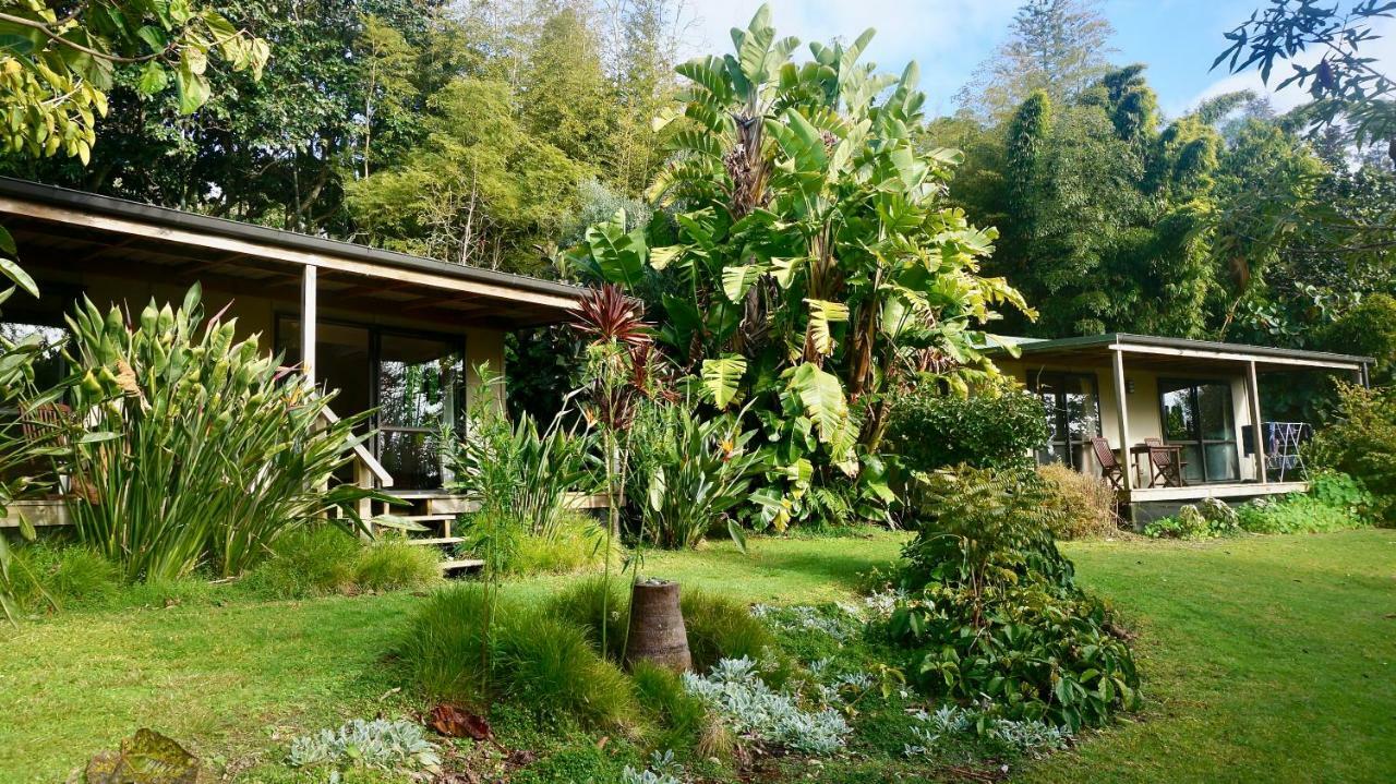Wharepuke Subtropical Accommodation كيريكيري المظهر الخارجي الصورة